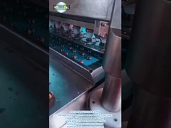PD1000 完全自動 双色クッキー 生産ライン