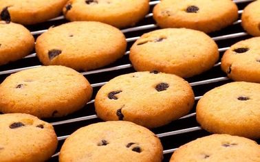 PD400 CE Certification Hot Sale Wire Cutting Cookies Making Machine Customized Cookie Machine China Factory Supplier