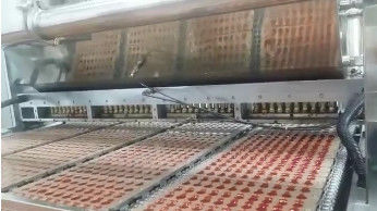 SS304 300KG/H 150KG/H Soft Candy Gummy Bear Production Line Machine Gummy Jelly Bear Processing Line Equipment Machinery